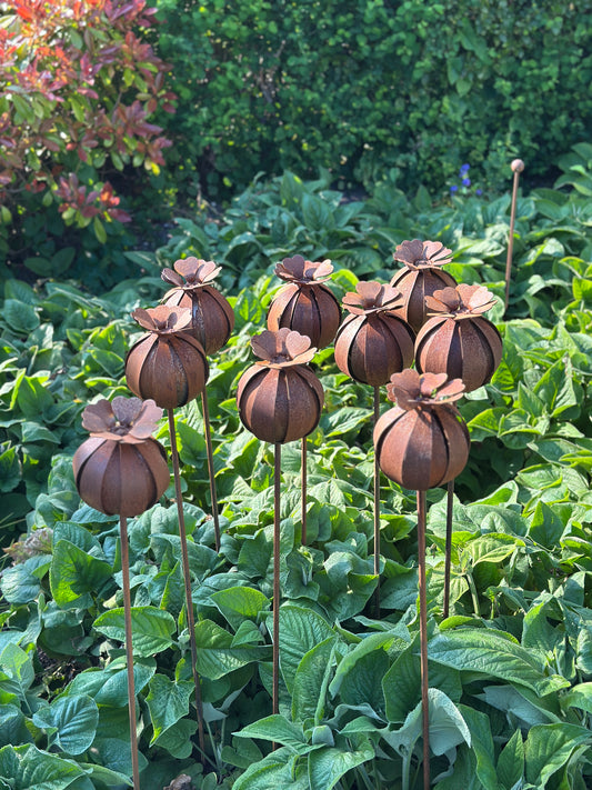 Mini Poppy Seed Heads
