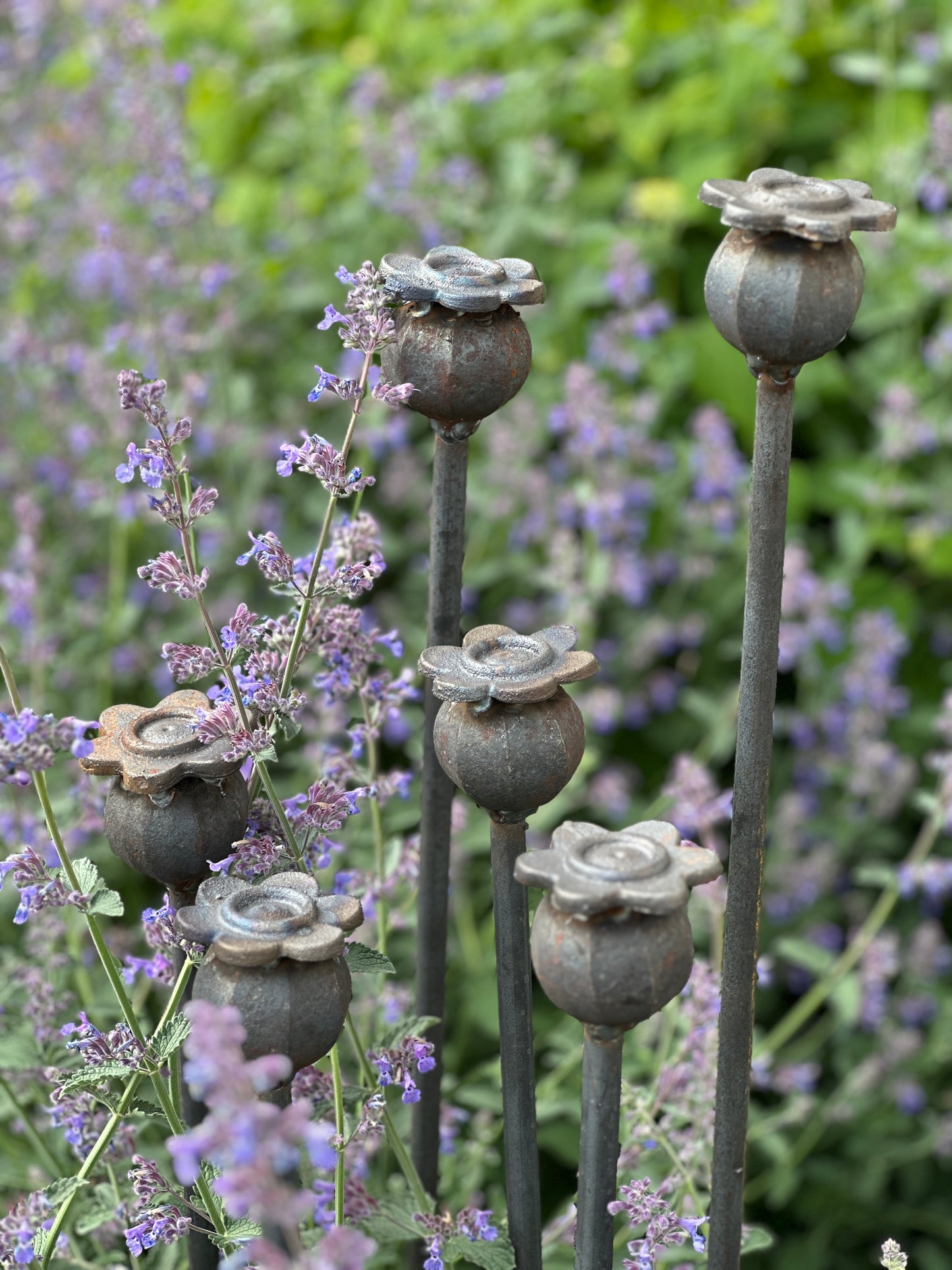 Garden Poppy Seed Head Stake