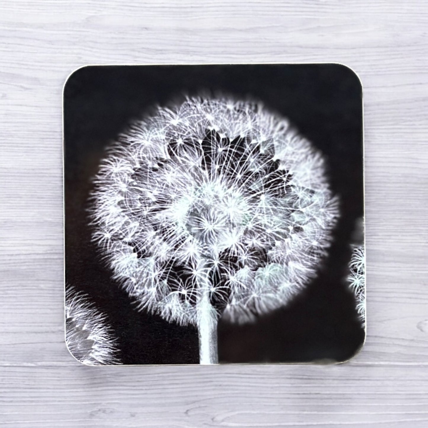 Dandelion Clock Coaster