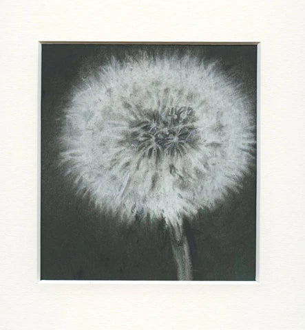 'Diddy Little Dandelion'