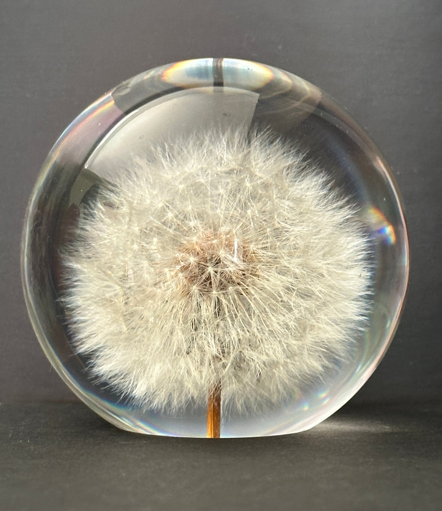 Dandelion Clock Crystal Resin Ball