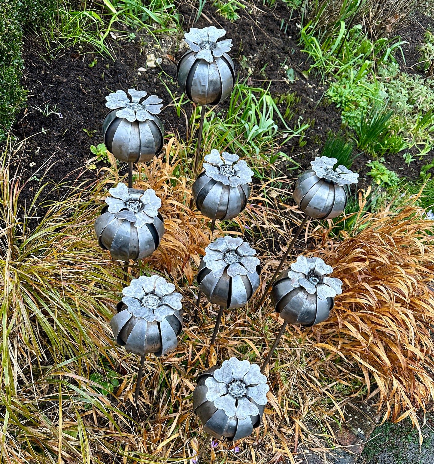 Mini Poppy Seed Heads